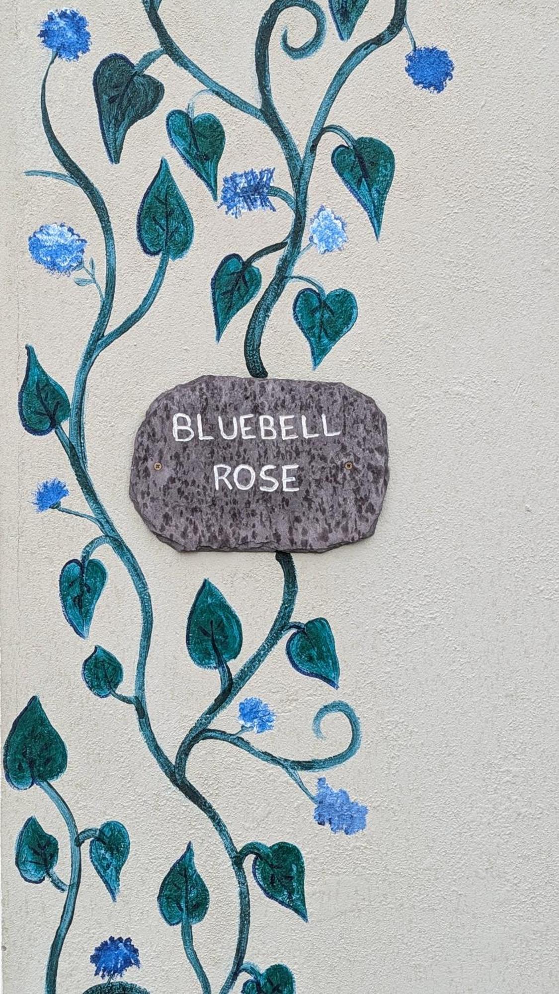 Skellig View Bluebell Rose & The Kerry Cliffs Appartement Portmagee Buitenkant foto